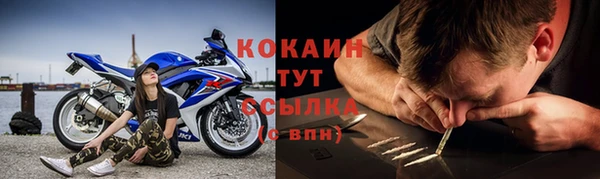 спиды Вяземский