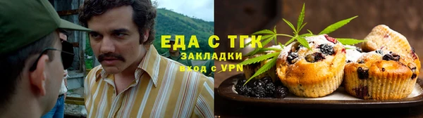 спиды Вяземский
