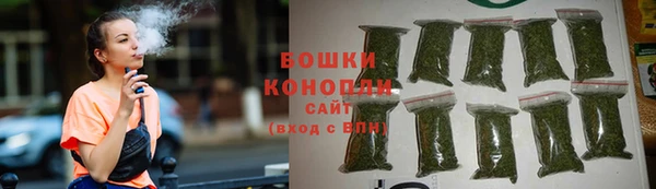 спиды Вяземский