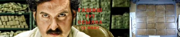 спиды Вяземский