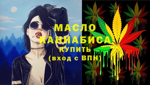 спиды Вяземский