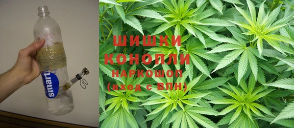 спиды Вяземский