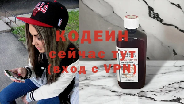 спиды Вяземский