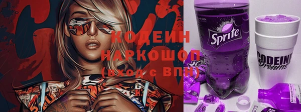 спиды Вяземский