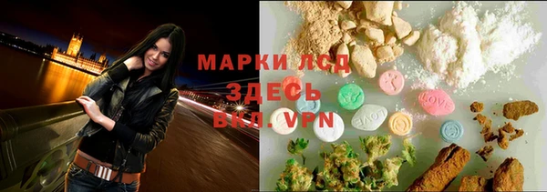 спиды Вяземский
